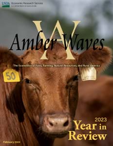 This is the cover image for the Amber Waves: 2023 Year in Review report.
